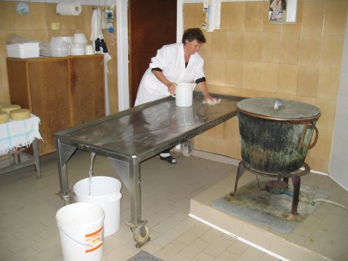 scuola di formaggio-25.JPG